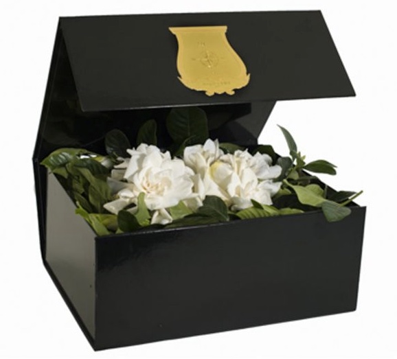 DELUXE VINE & BLOOM BOX