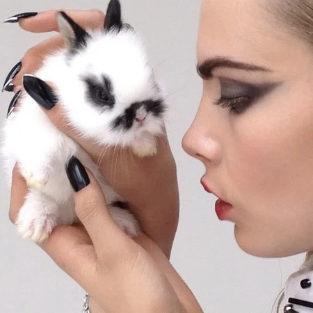 PAT THE BUNNY