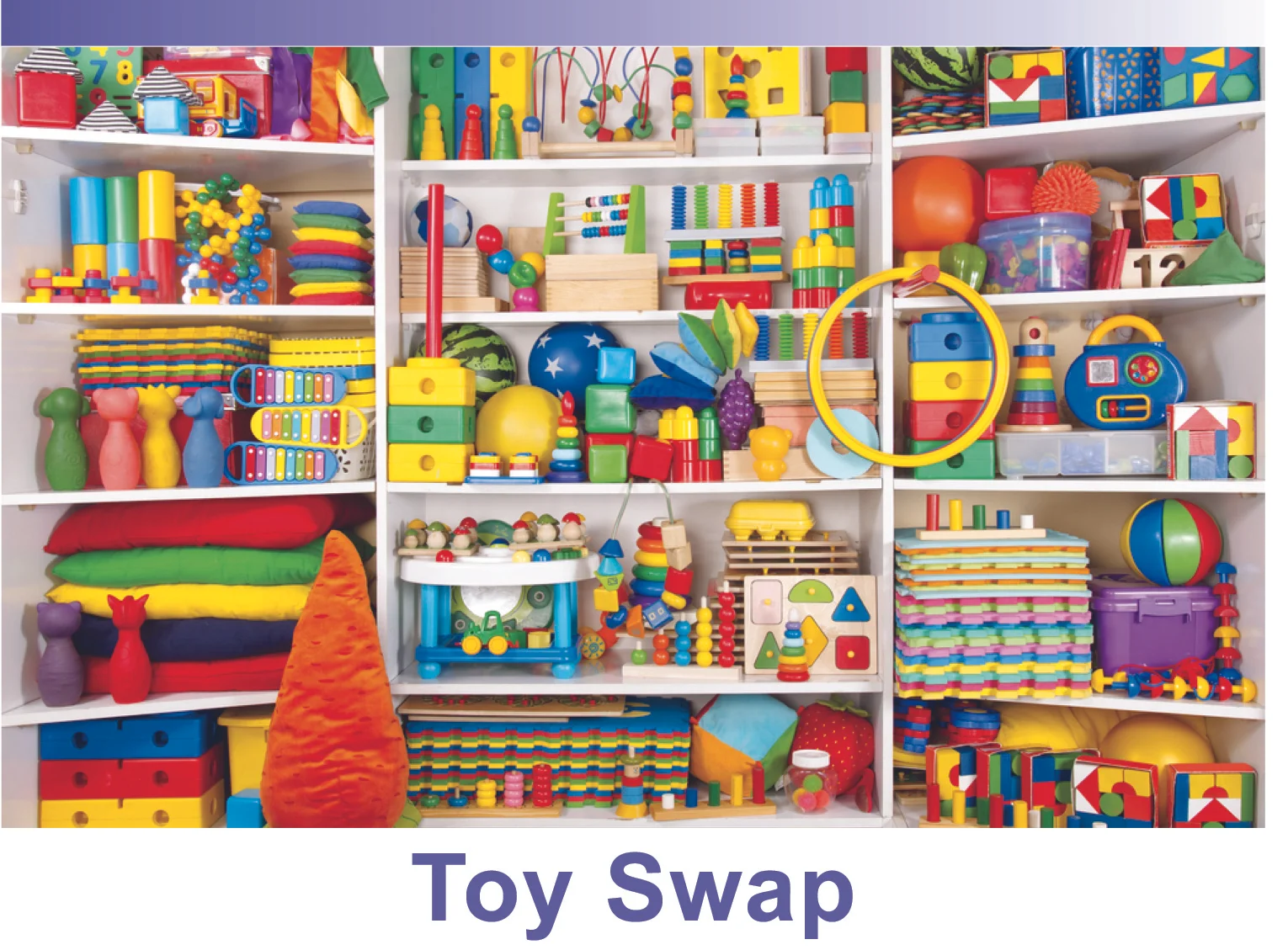 LANE COVE LIBRARY TOY SWAP