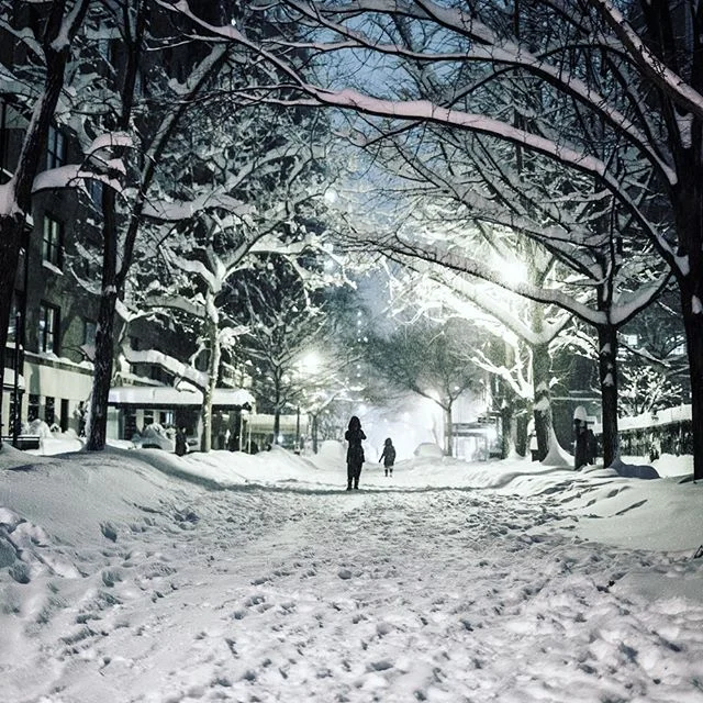 ❄️
.
.
.
.
.
#hkig #hkphotography #hkphotographer #newyork #newyorkcity #manhattan #snow #tree #winter