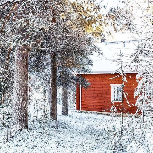 🏡
.
.
.
.
.
#hkig #hkphotography #hkphotographer #travel #travelphotography #finland #rovaniemi #redhouse #trees #snow #nature #naturephotography