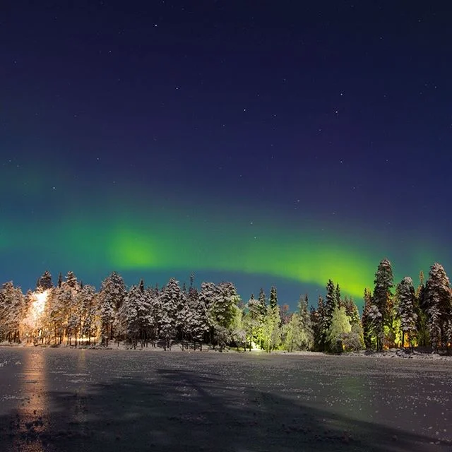 🌌
.
.
.
.
.
#hkig #hkphotography #hkphotographer #travel #travelphotography #finland #luosto #sodankyl&auml; #lake #frozenlake #trees #northernlights #aurora #nature #nightphotography