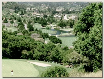 golf 1.jpg