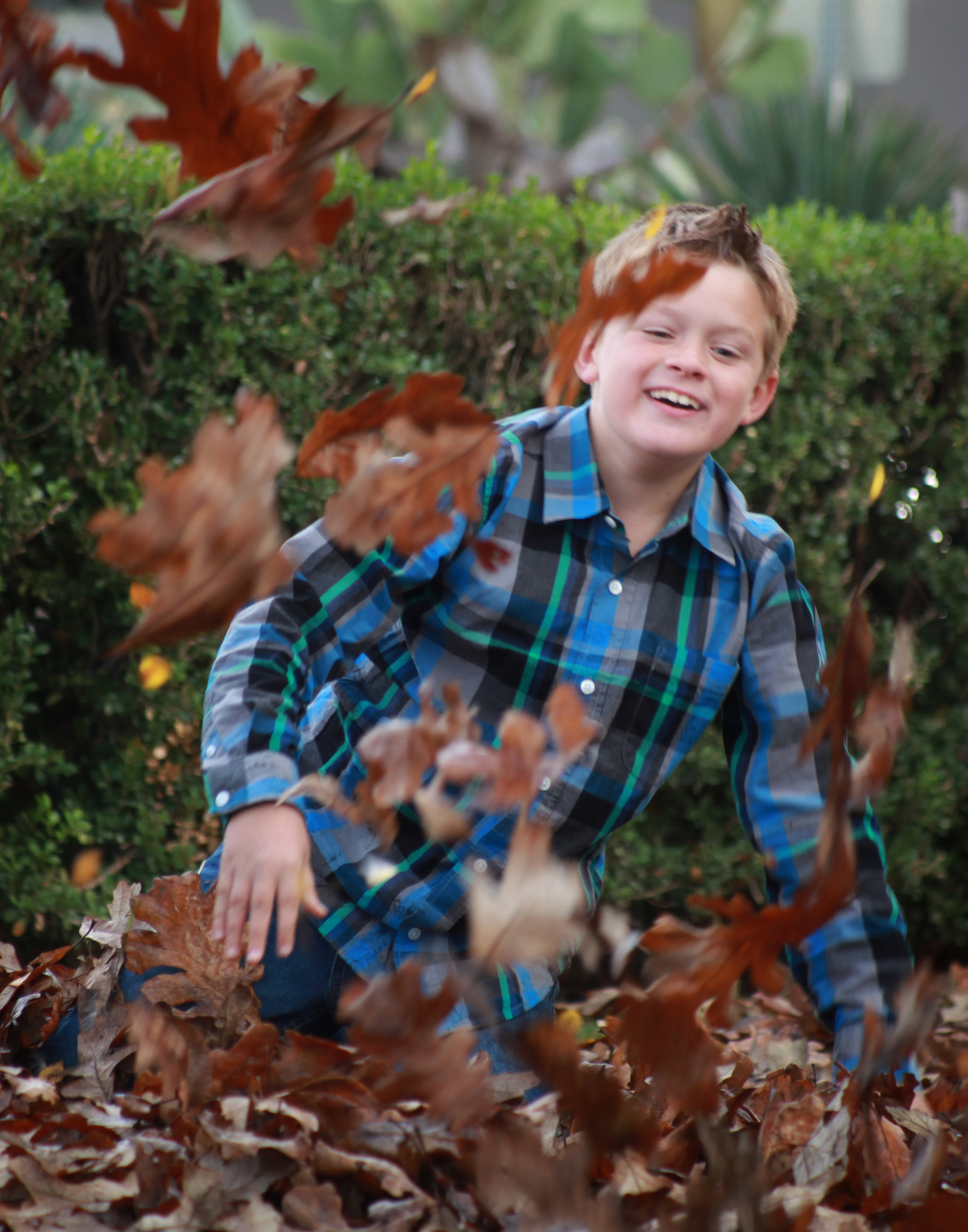 12-13-15_FarquharFamily_SamAndEyeLLC-IMG_0018-clr.jpg