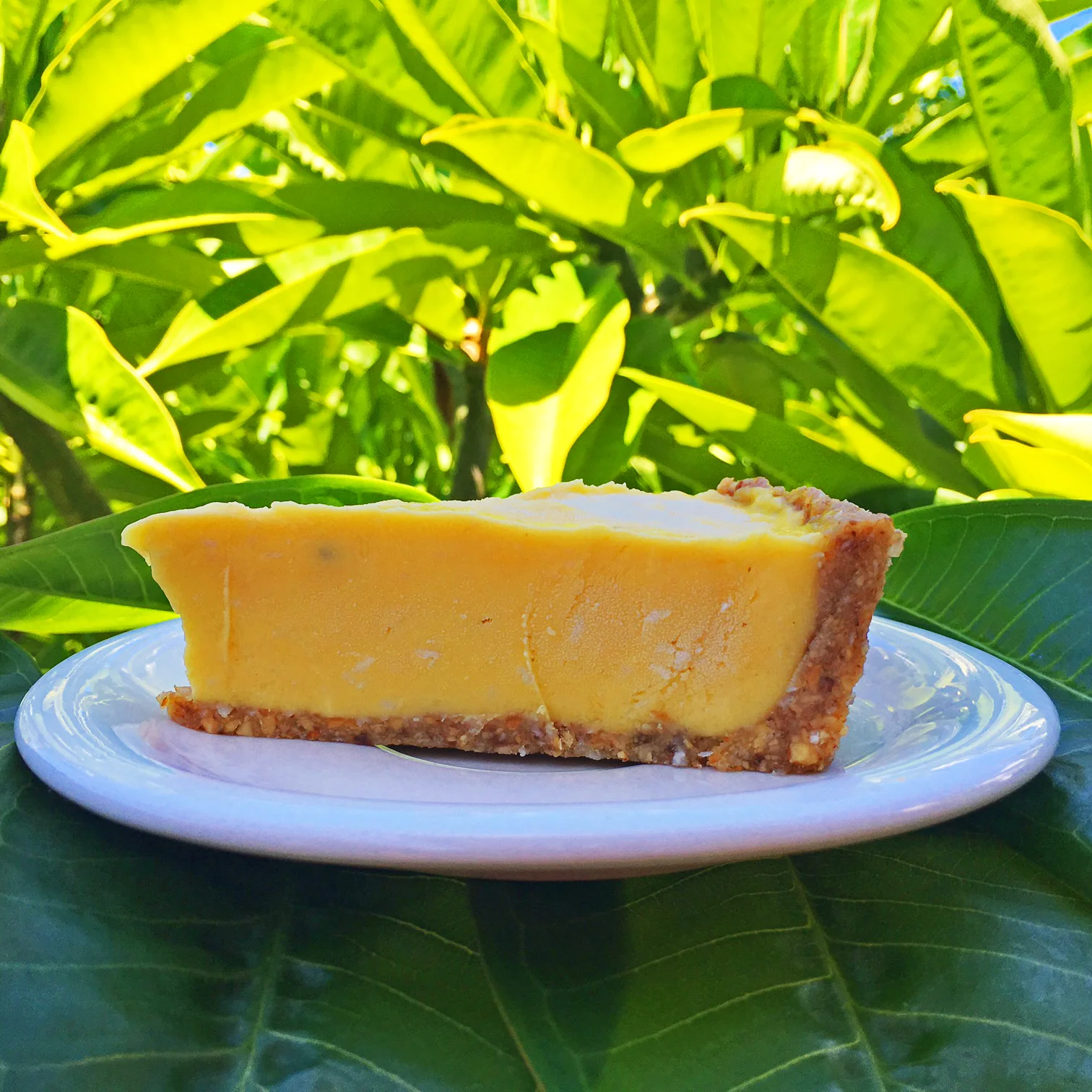 breadfruit pie.jpg