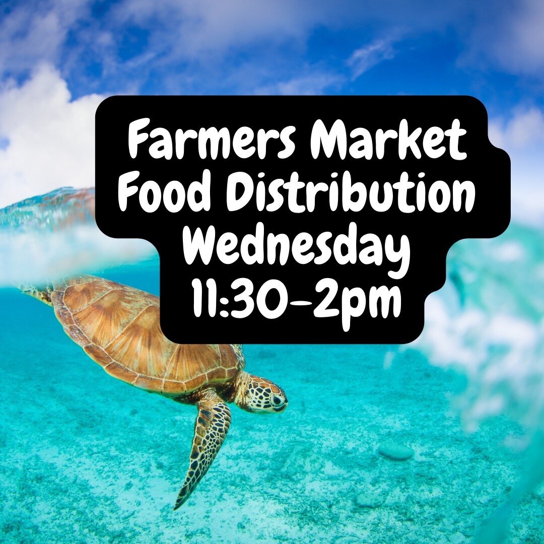 Our Final Maui Fire victim produce distribution is tomorrow, Wednesday from 11:30-2pm at the Sugarcane Train Station Parking Lot. 
Sponsored by World Central Kitchen
Lahaina ID Required. 
Please note that the Napili Farmers market is open on Saturday