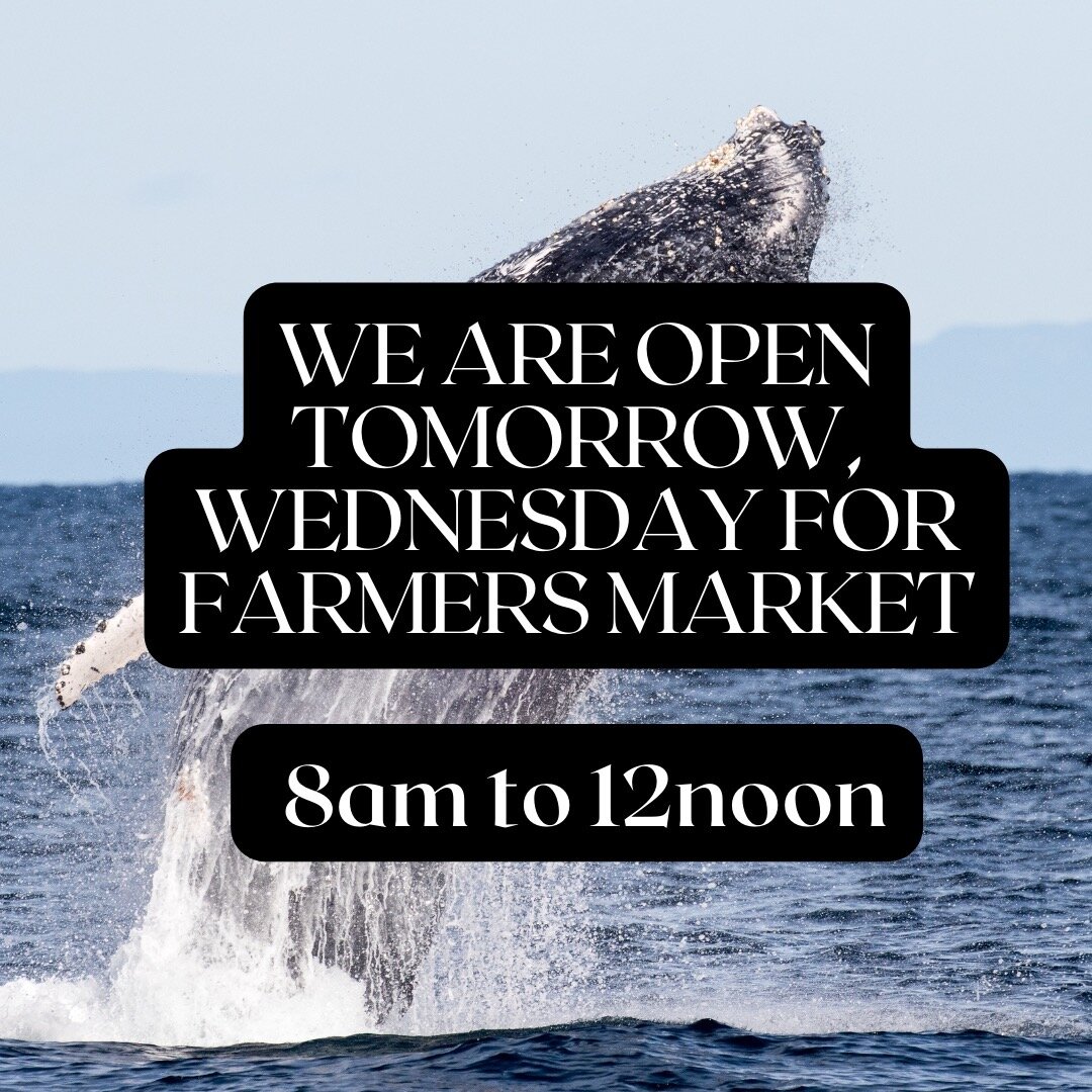 Exciting News!!!
Join us tomorrow, Wednesday for the Napili Farmers Market from 8am - 12noon. Local produce, local crafts and many other wonderful treasures to be found. Support local, support Maui.

#farmersmarkethawaii #lahainastrong #eatlocalsuppo