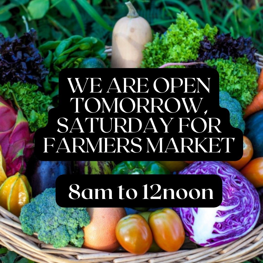 Napili Farmers Market open Saturday and Wednesday!!!

Join us tomorrow, Saturday for the Napili Farmers Market from 8am - 12noon. Local produce, fresh smoothies, fresh bread, local crafts and many other wonderful treasures to be found.

Support local