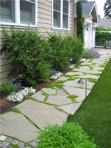 walkway-moss-stone-lights-straight-spring-greenworks_3998.jpg