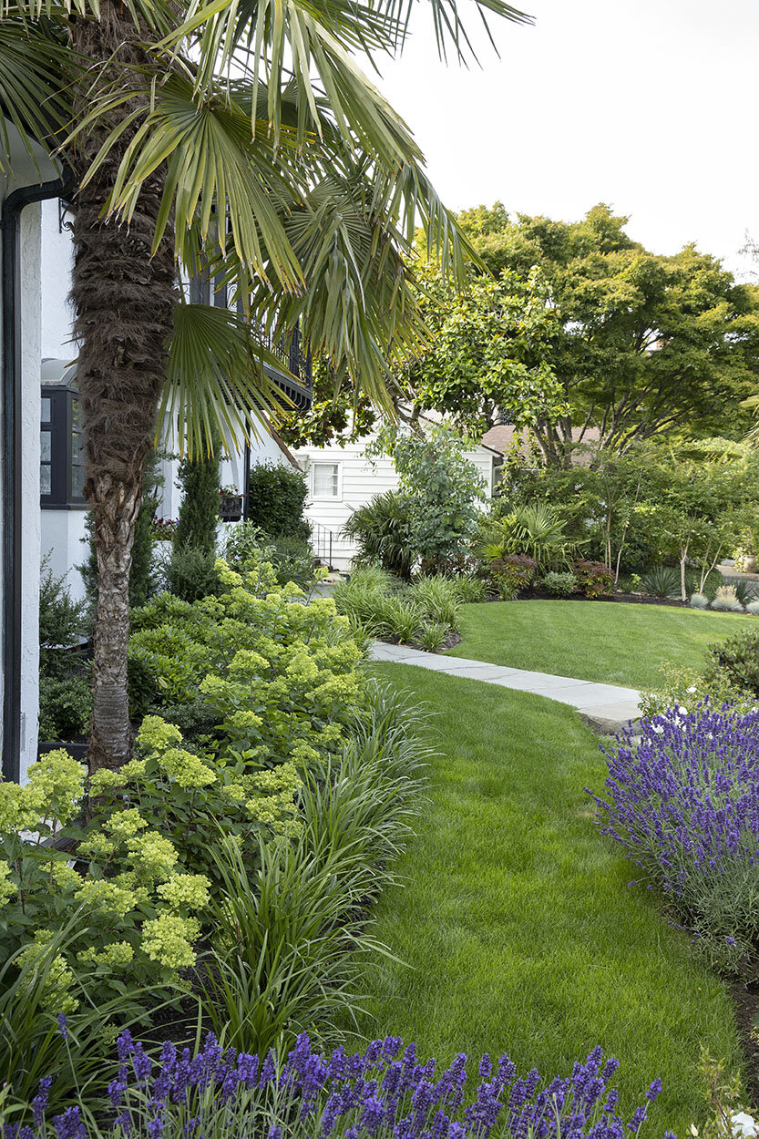 Robin Parsons garden designer - Broadmoor_1031.jpg
