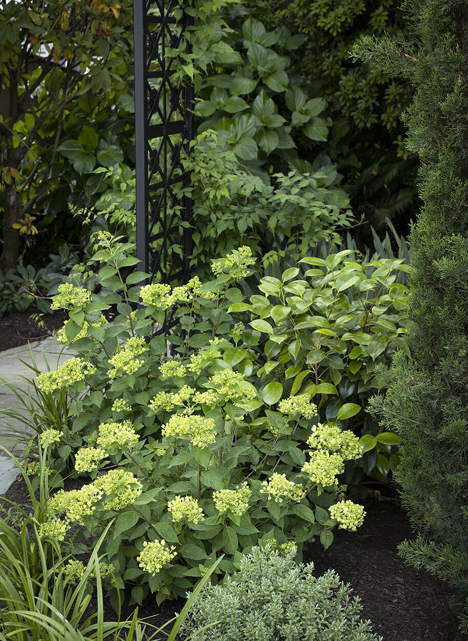 Robin Parsons garden designer - Broadmoor_1036.jpg