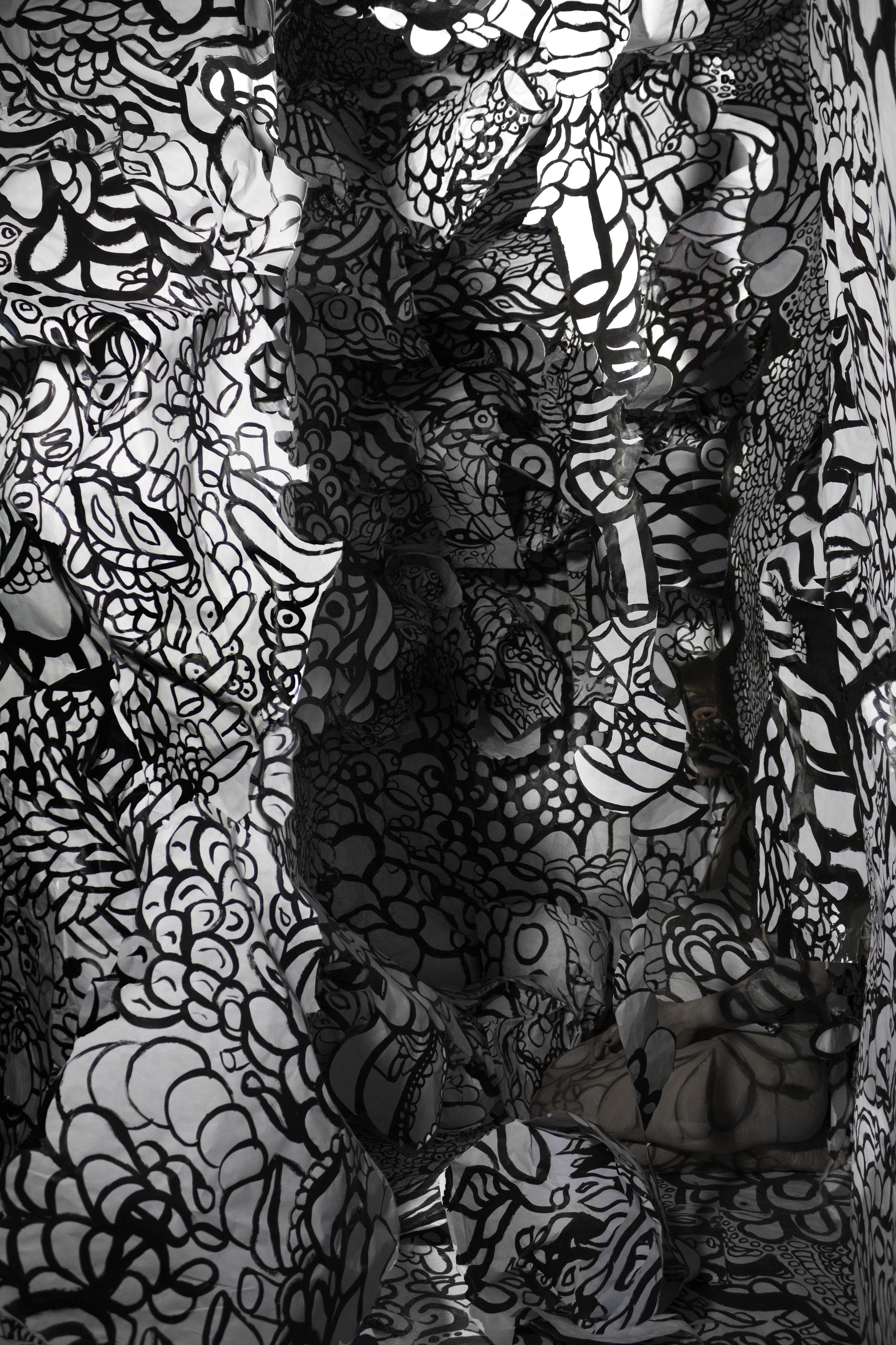Mania Series #4 Inkjet Photograph 90inX60in