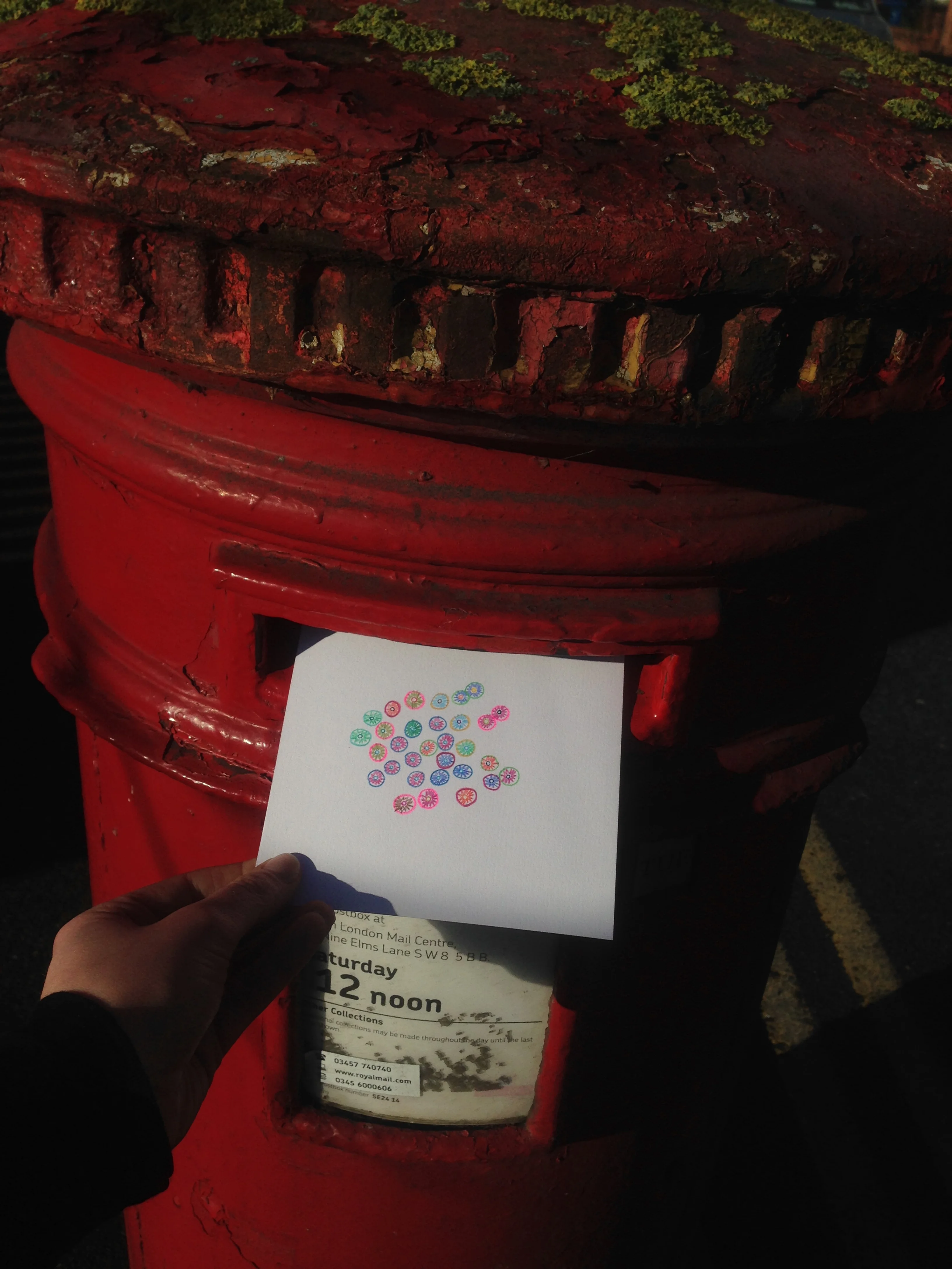 Posting in some winter sun glare