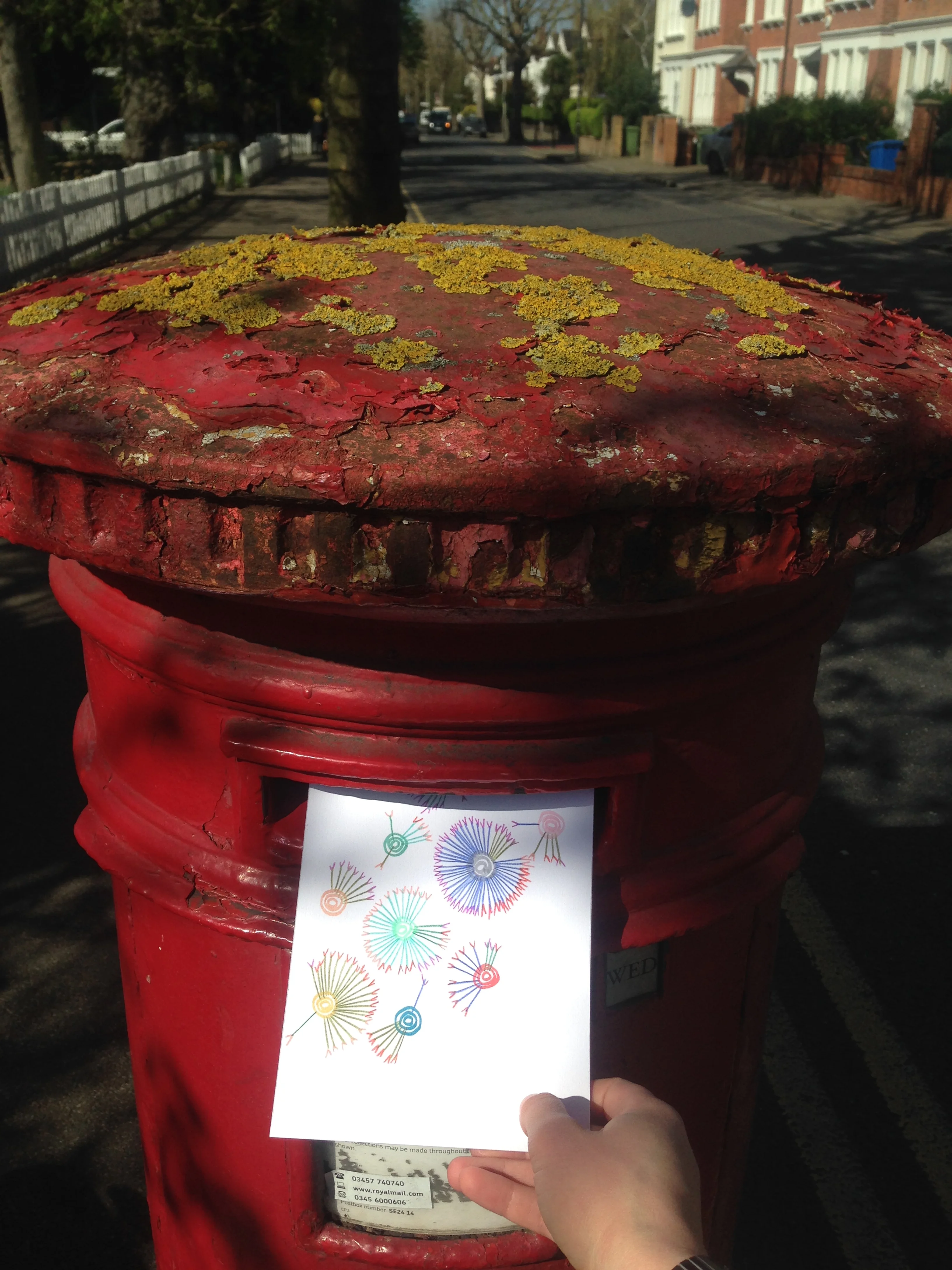 And look at that dappled springtime sunshine!&nbsp;