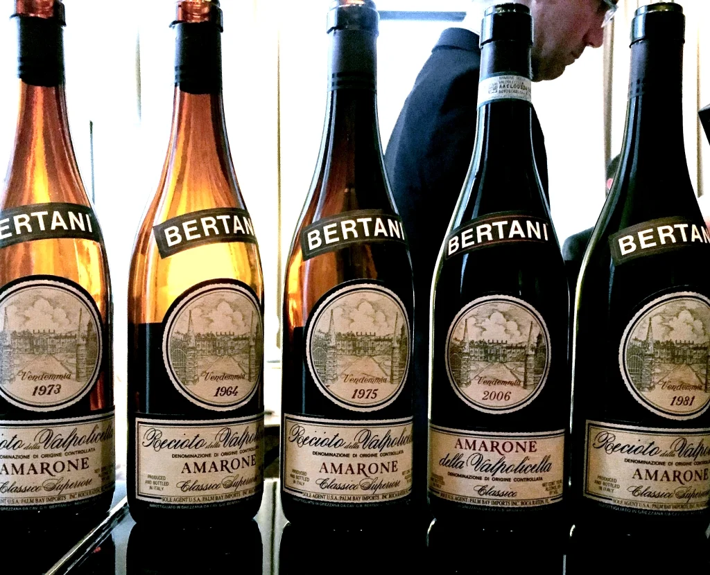 Chicago Chapter hosts vintage wine tasting event at the scenic Ritz