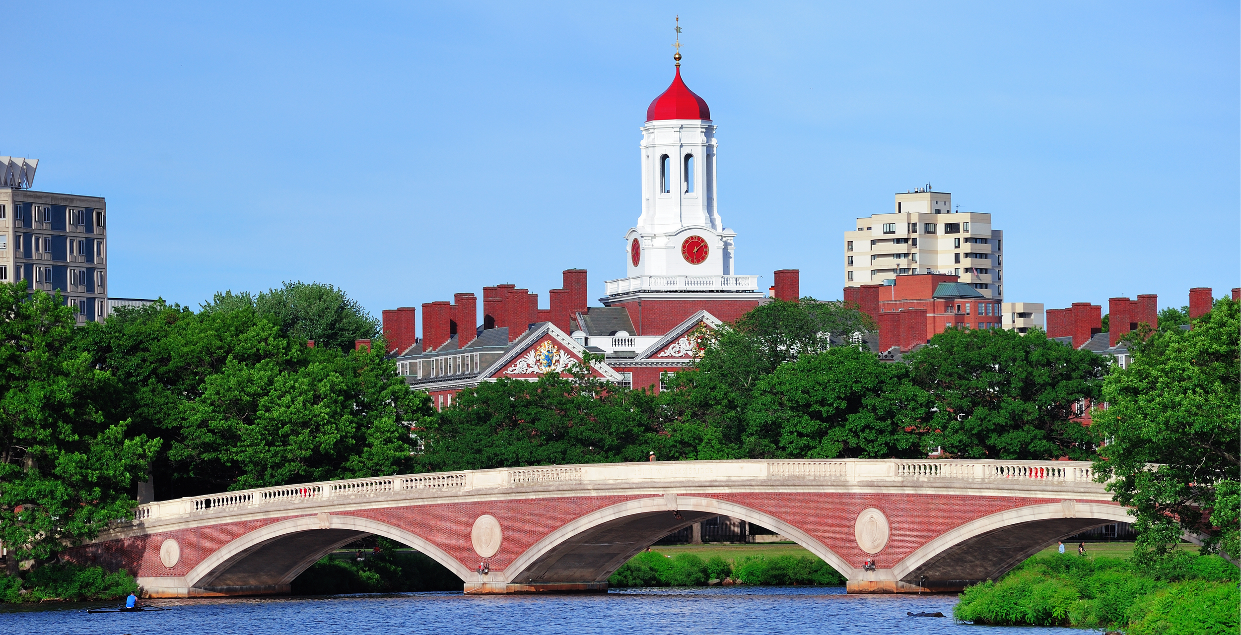 Untitled design (21).png