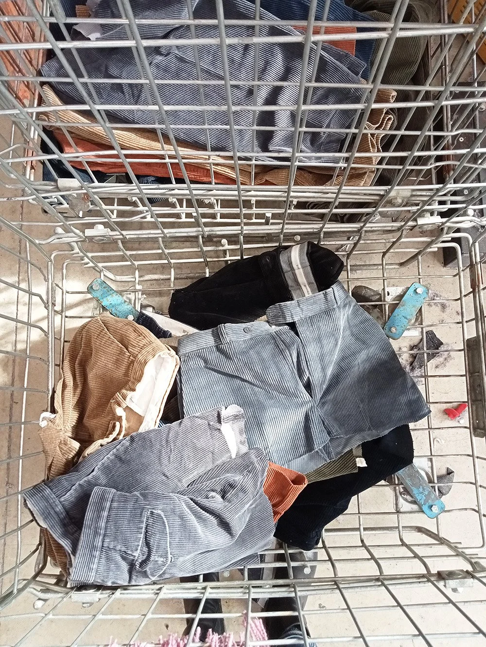 Short en velours.jpg