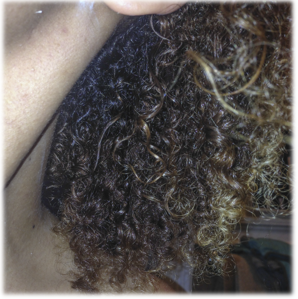 Heat Styling with Evo Hair-Hair-Ashante Nicole Style