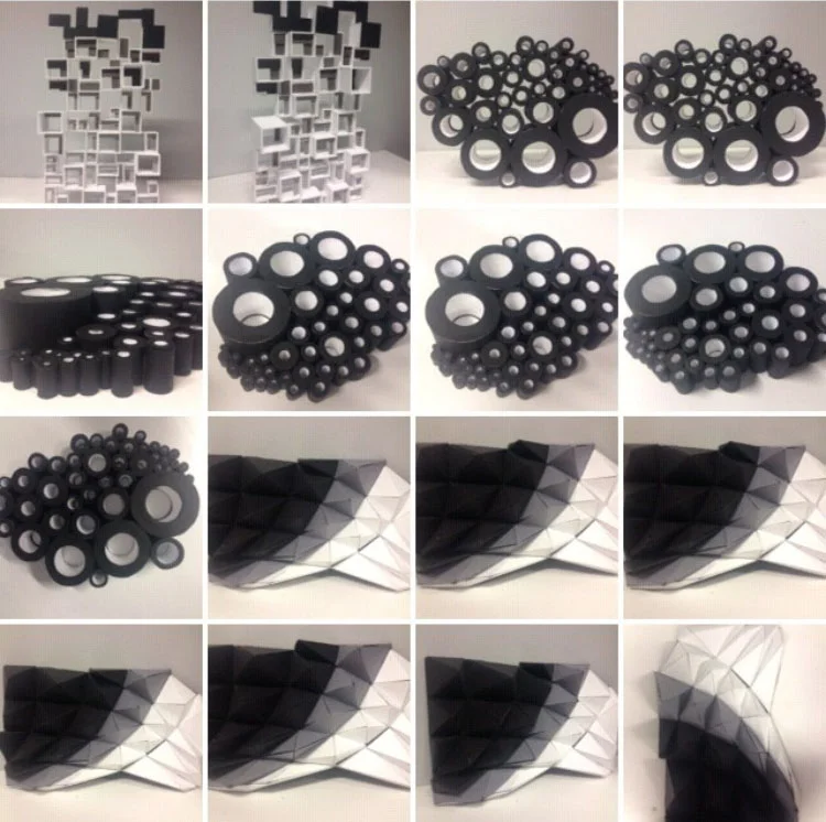 Growth and Evolution Assignment: &nbsp;Students are asked to deform a component based system through repetition, evolution and gradual transformation