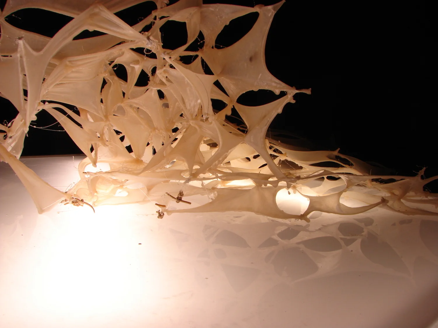 Resin Component Study Model