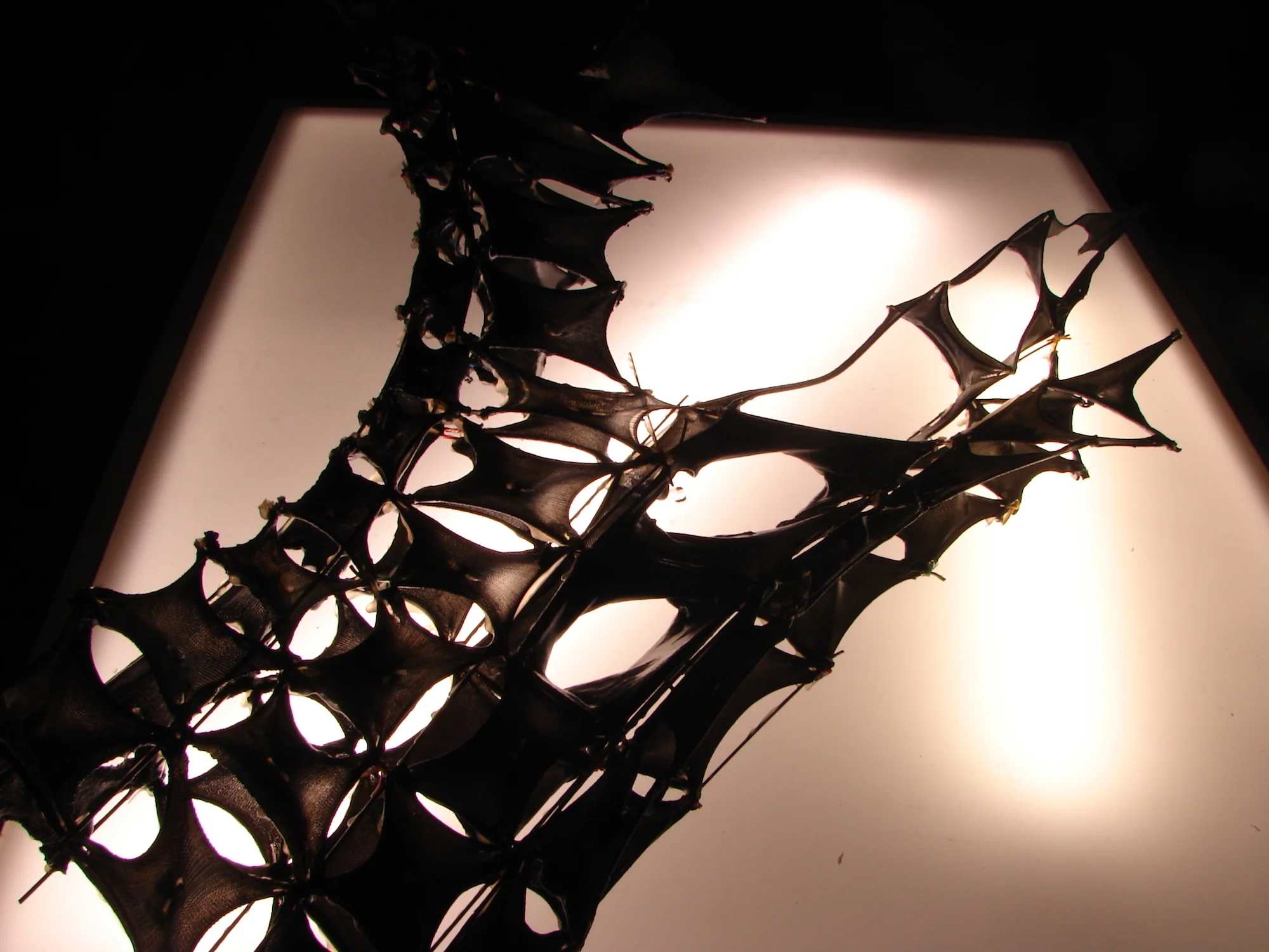 Resin Component Study Model