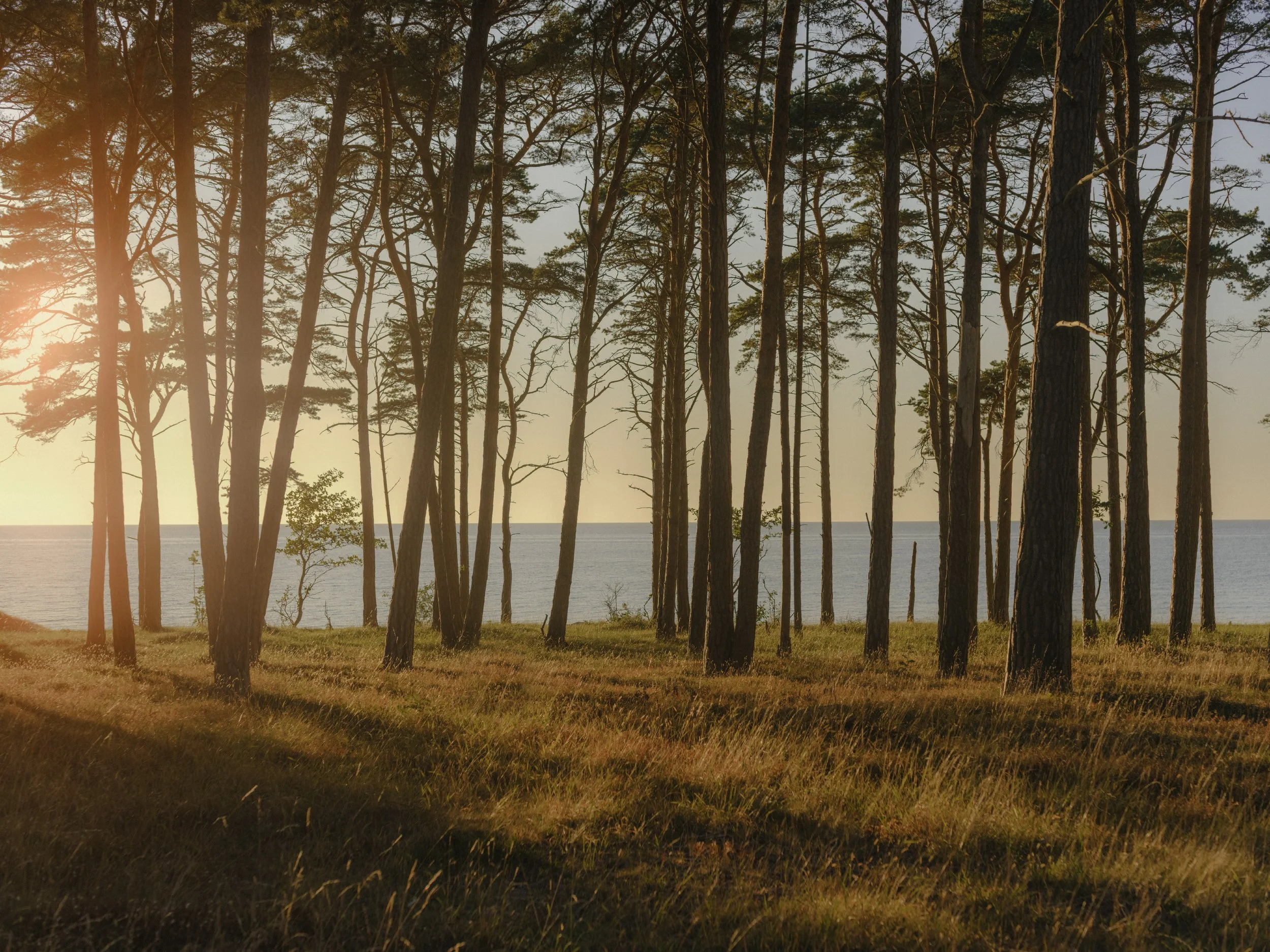 utsikt_gotland10.jpg