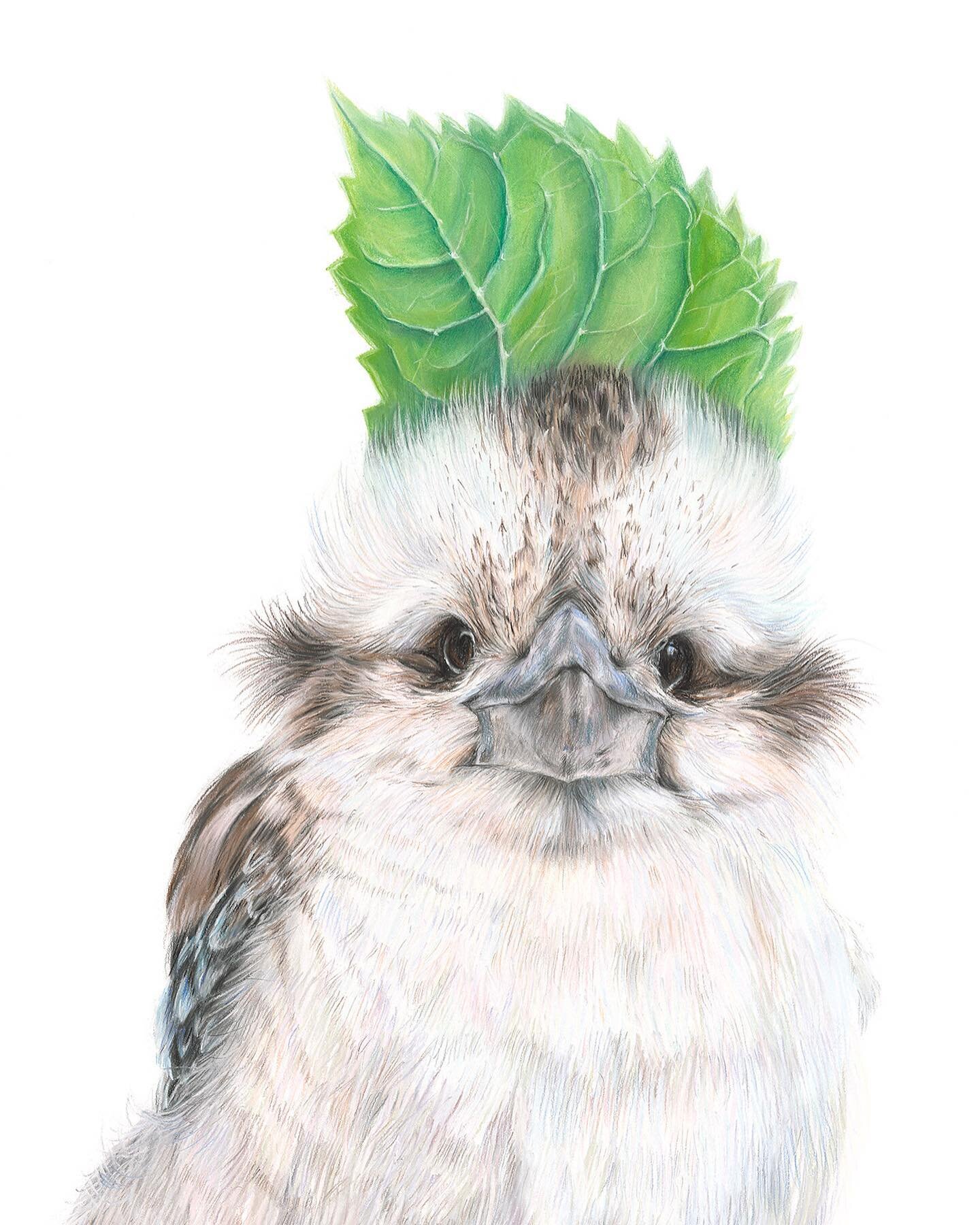 Happy New Year!! I hope everyone is feeling well, rested and ready for 2023. I have had a few requests for prints of the kookaburras, so I am opening up the special edition prints for a limited amount of time in January to celebrate the New Year! Fol