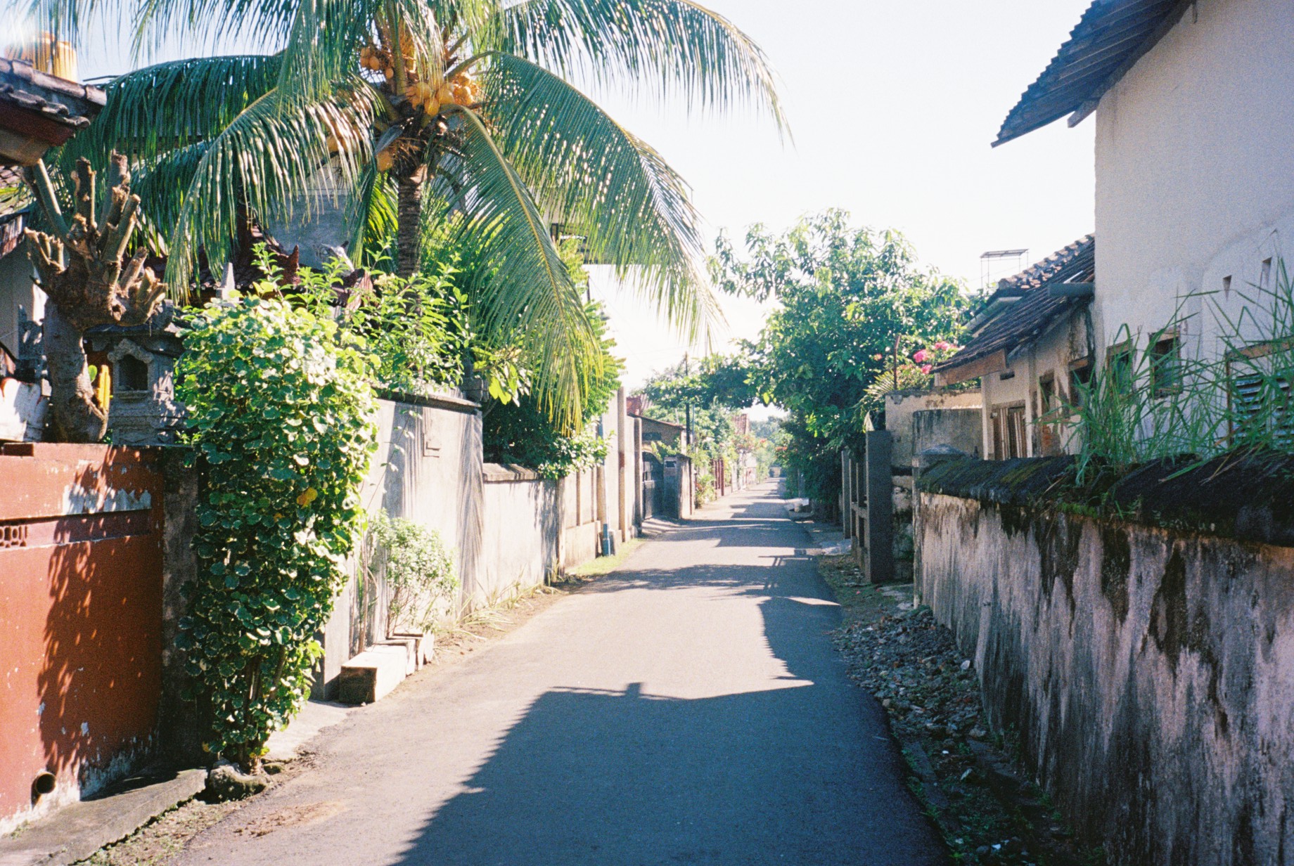 みずほの家の前