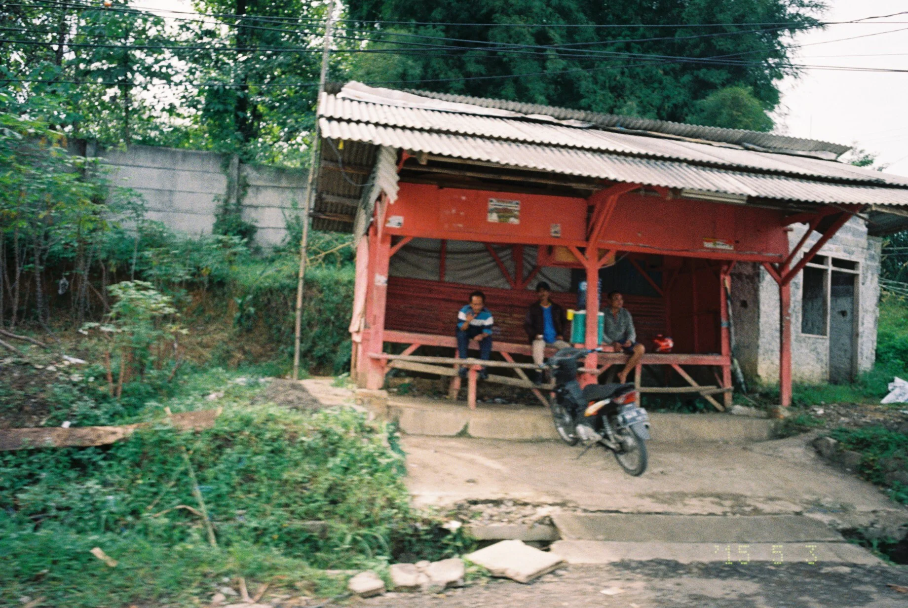 image.jpg