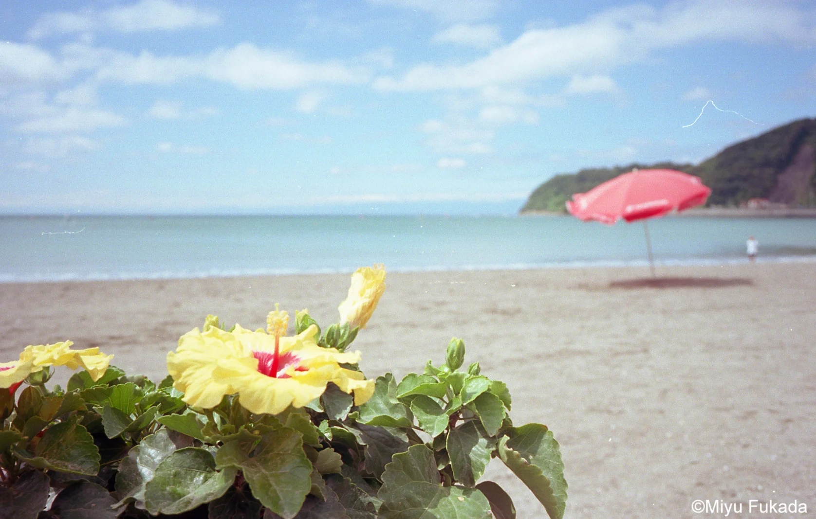 img035.jpg
