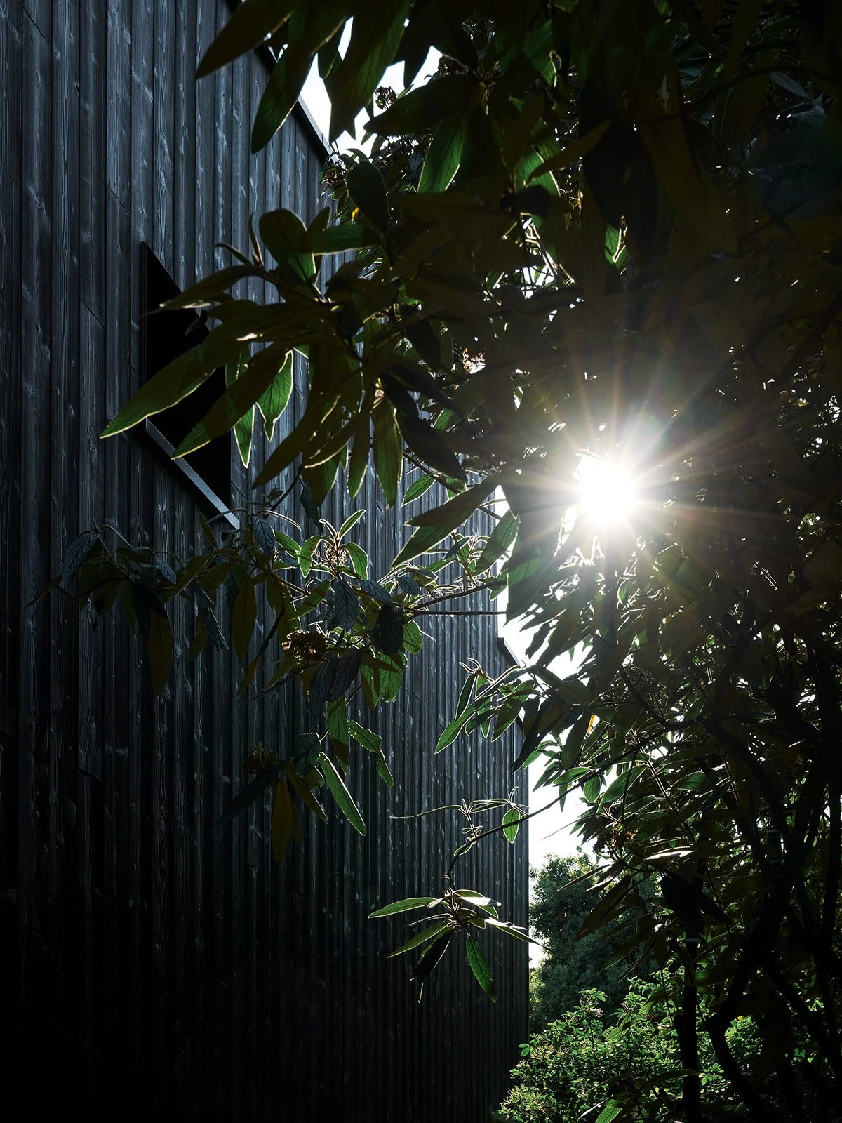 JCPCDR _ Saclay006 Copyright David Foessel .jpg