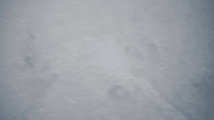 Penny - Der Weg-high.gif