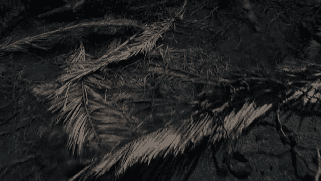 HYUNDAI - Because of You-low.gif
