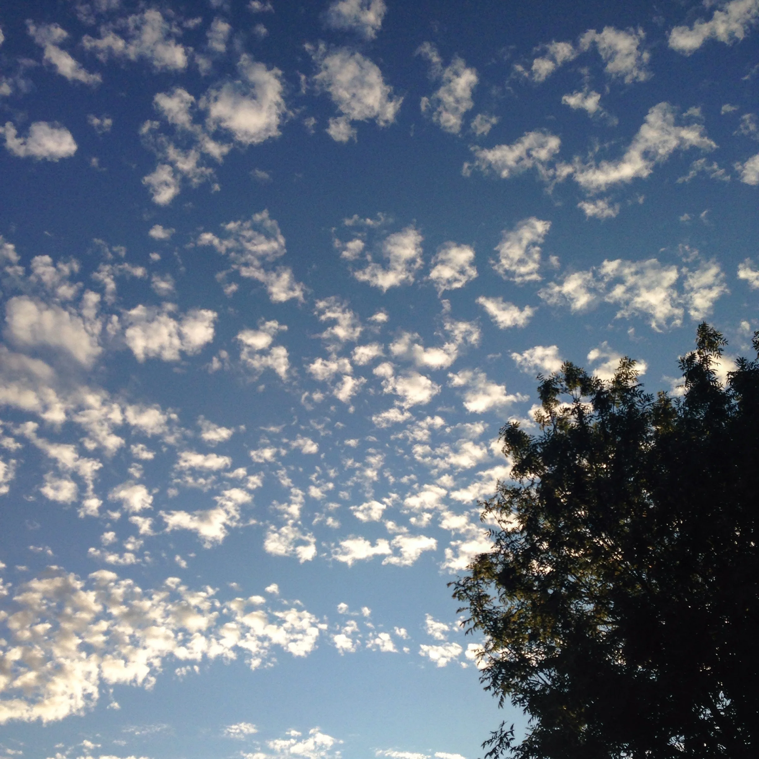 summersky.jpg