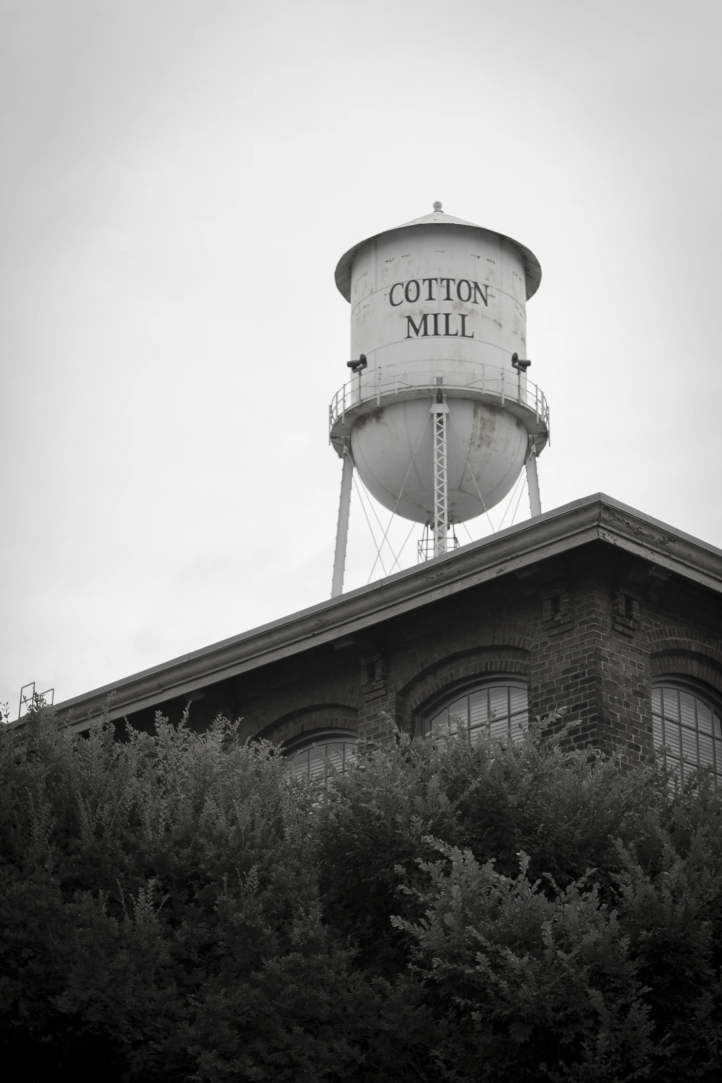 Cotton Mill