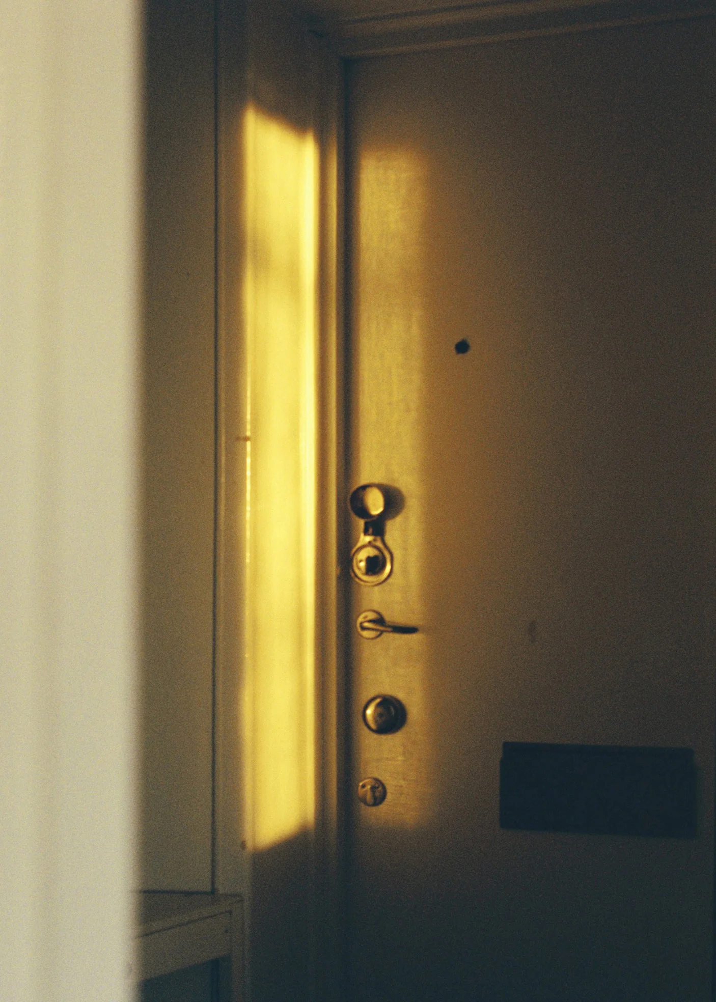 9087 (3)rak.jpg