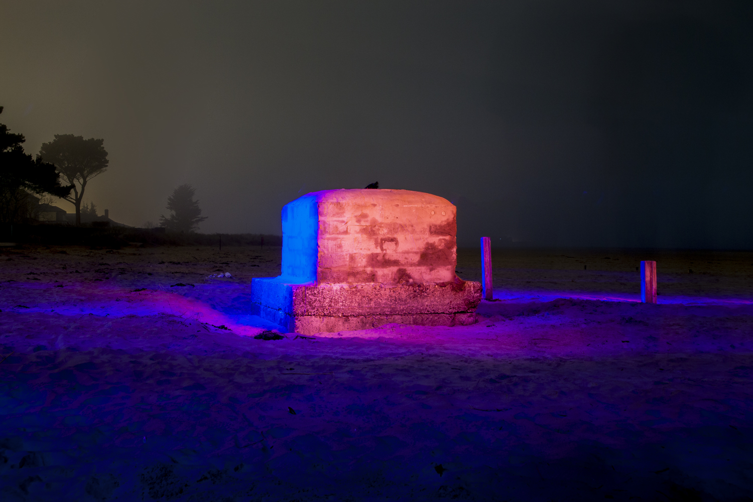 kaleonard_20140313_1326-Edit-Edit.jpg