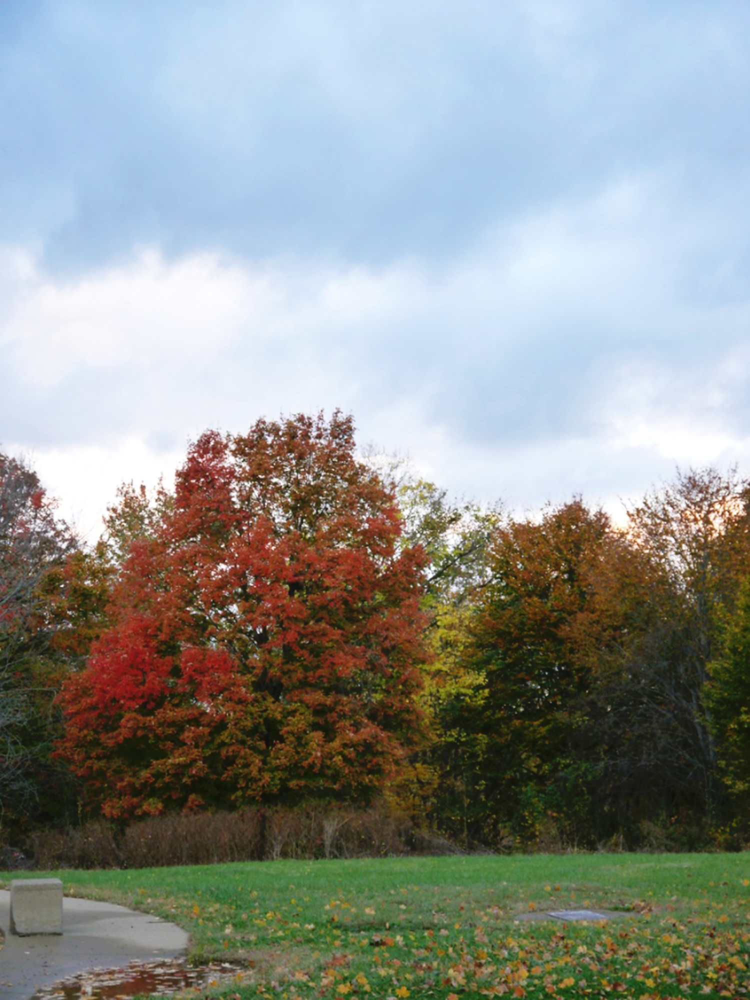 cherokeepark6_october2015_res72.jpg