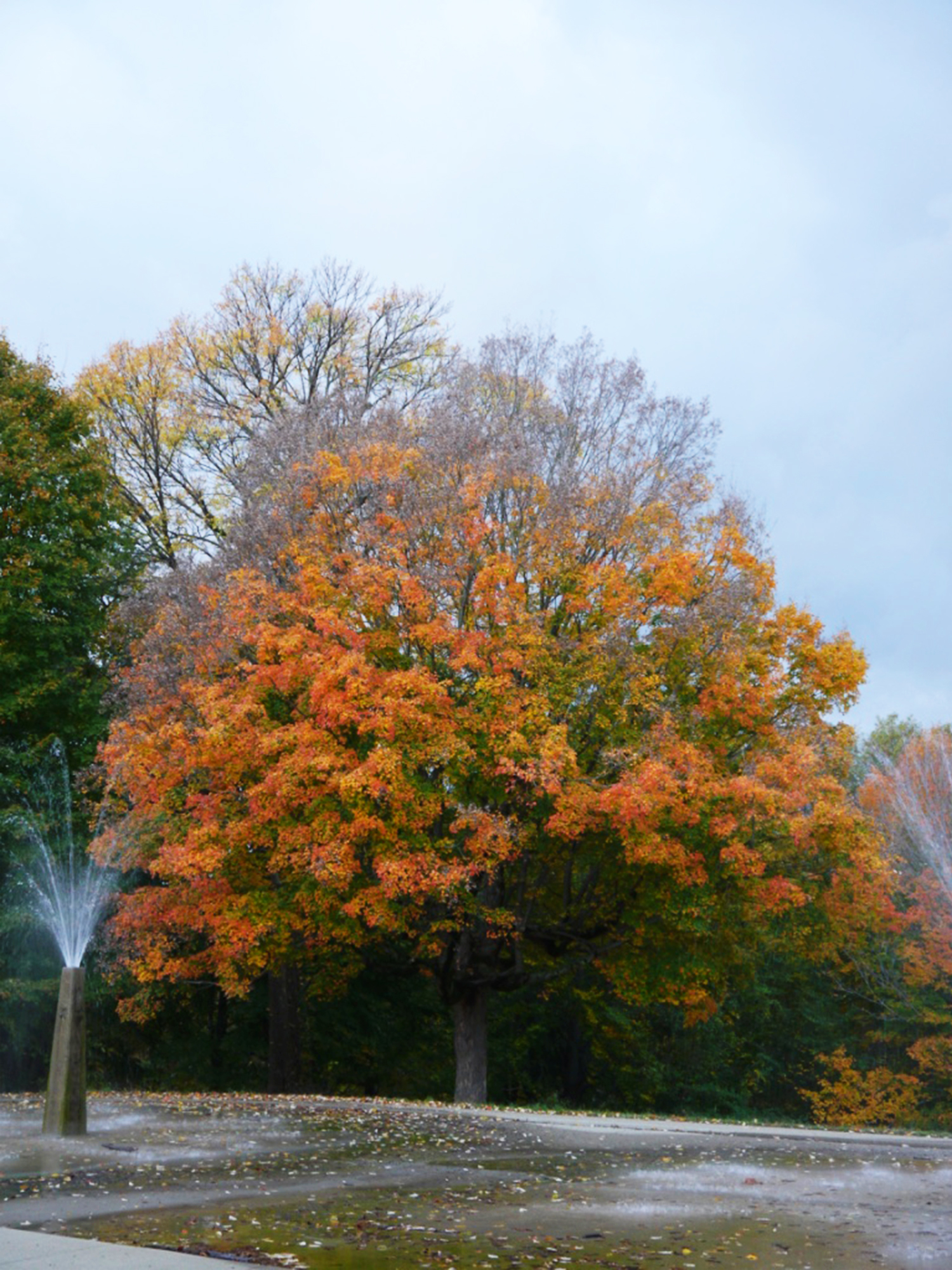 cherokeepark5_october2015_res72.jpg