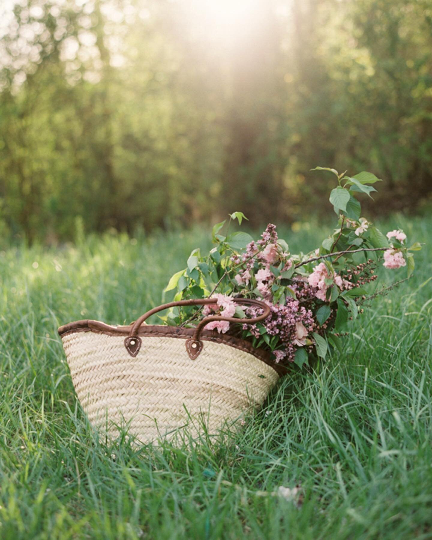 Take some time this week to go outside, close your eyes, and just focus on breathing deeply for a minute. ⁠
⁠
You might notice traffic noises, lawnmowers, etc, but if you stand for long enough, you'll probably hear the birds singing to you, sense lea