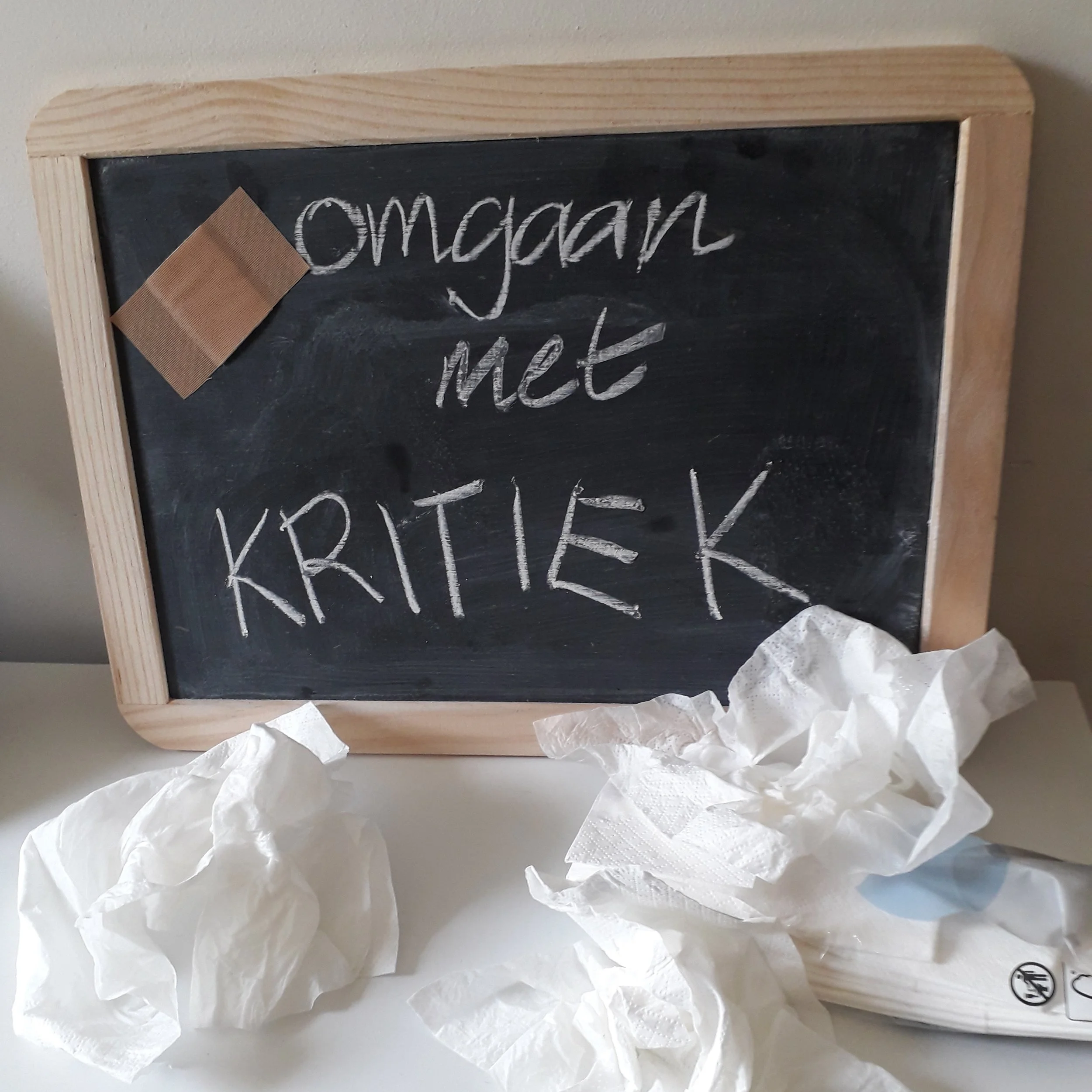 Foto bij blog “Omgaan met kritiek - 5 tips” van ZinVol. Fotograaf: Margot Reesink.
