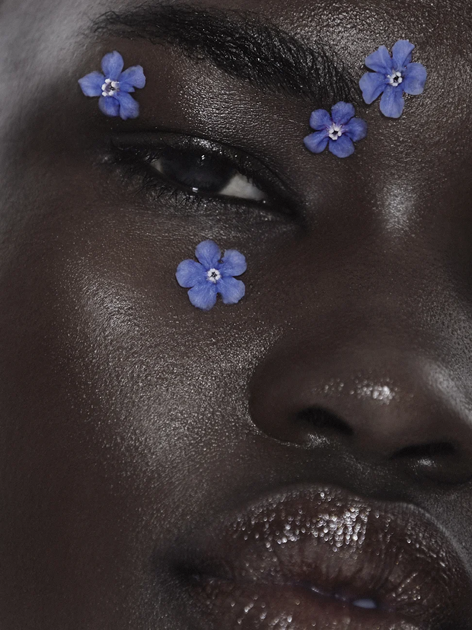 Sarah_Brimley_Les_Fleurs.jpg