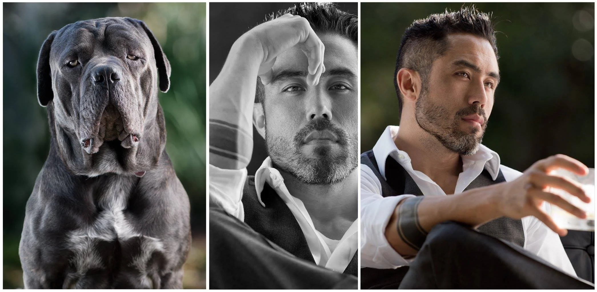 2017-11-05 - Tiger - Triptych - FB 3.jpg