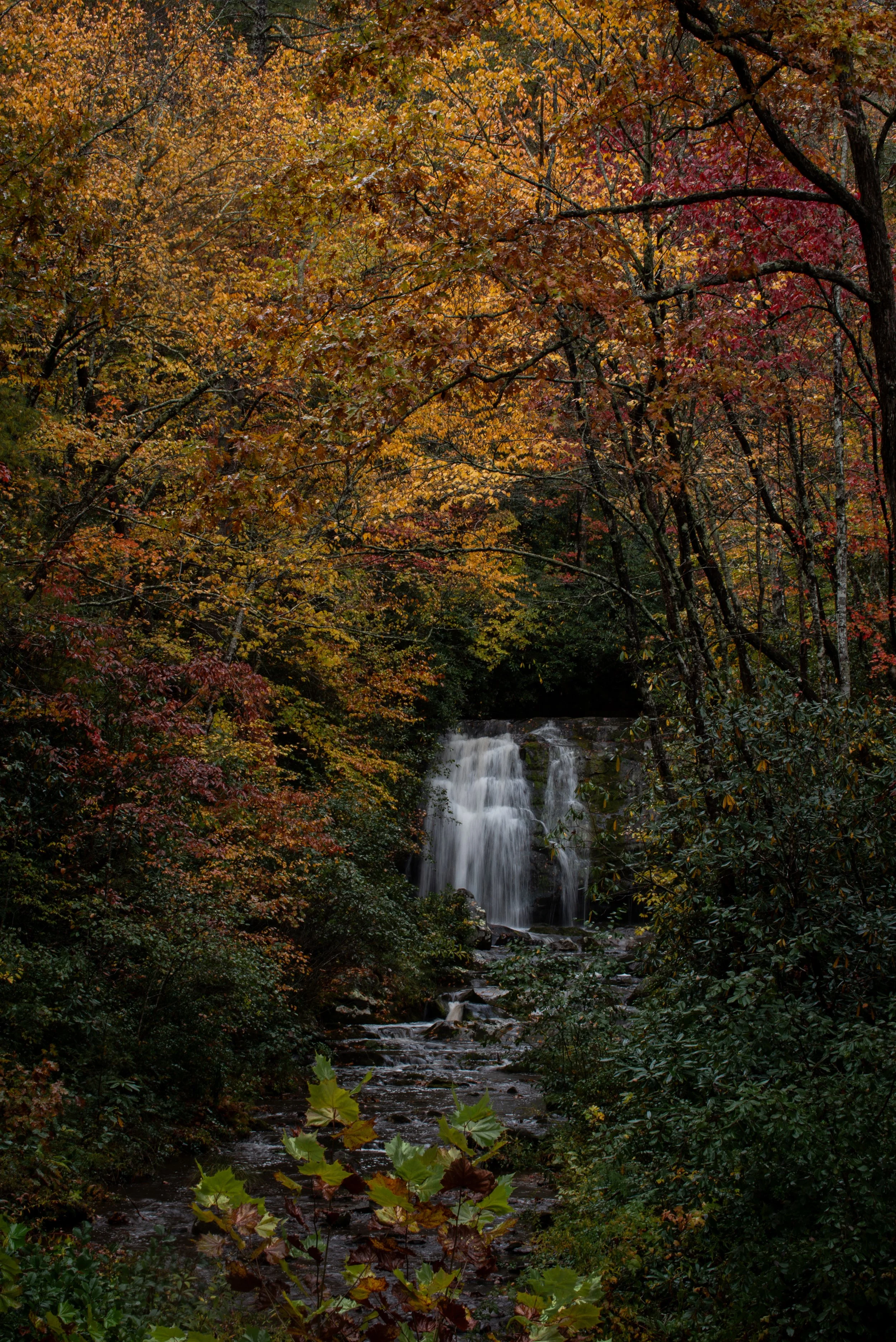 _DSC3605.jpg