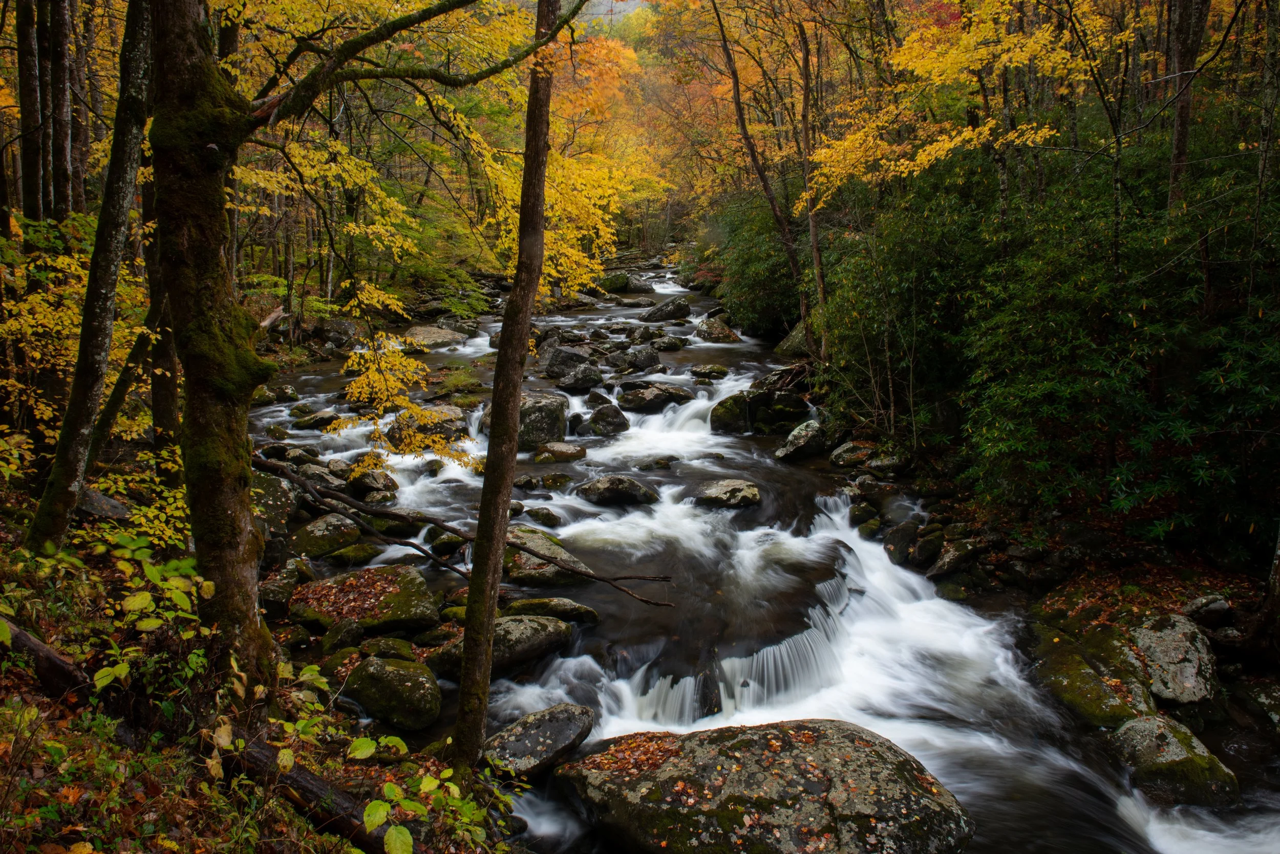 _DSC4165-HDR.jpg