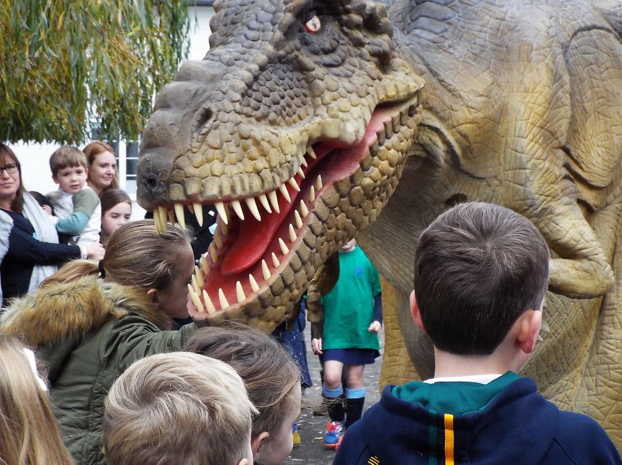 close up of Rex at Cranford House Primary School.jpg