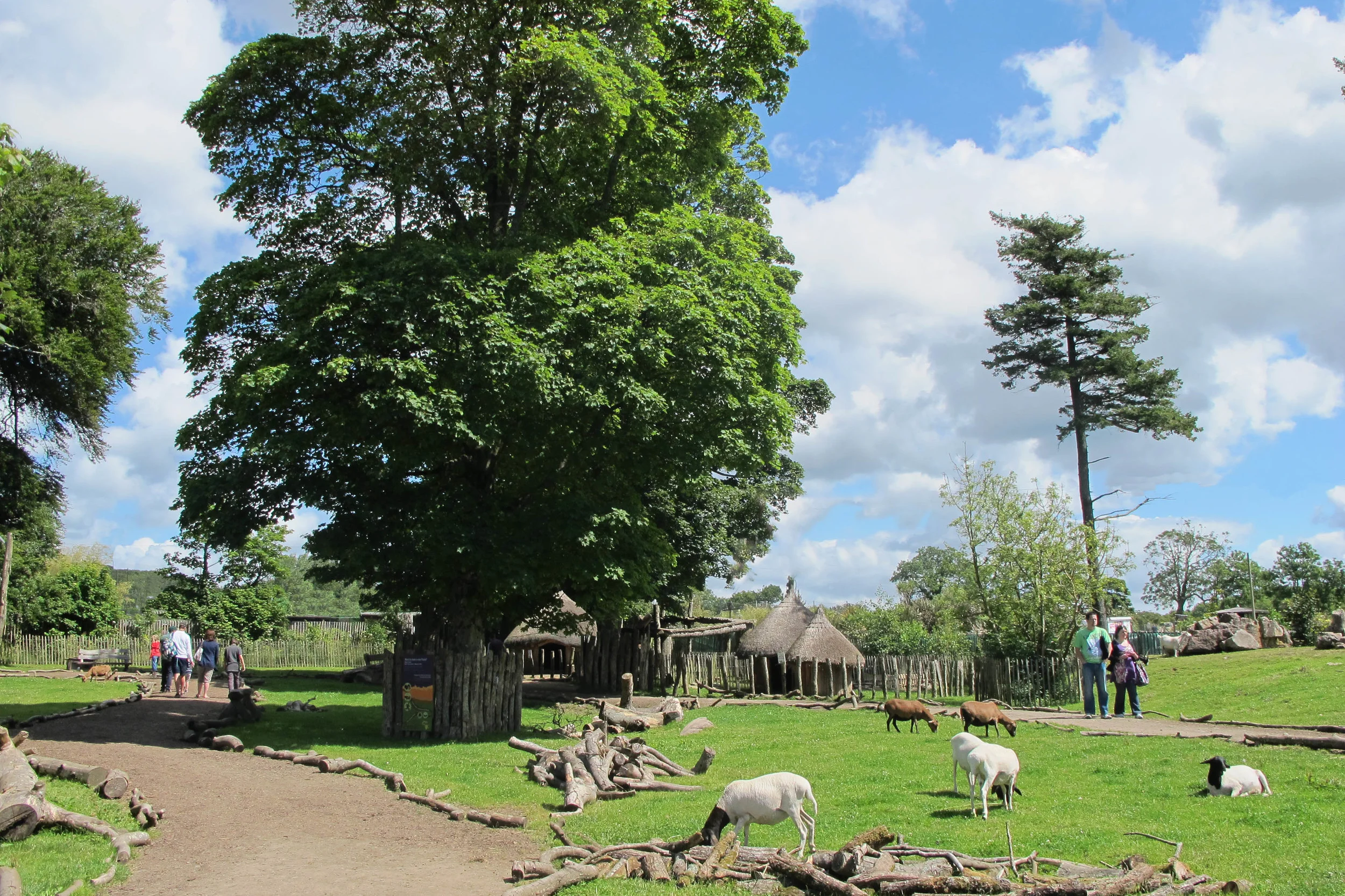 African+Village.jpg