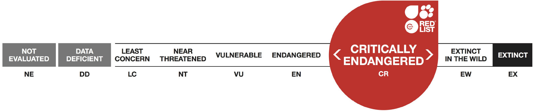 iucn CE.jpg