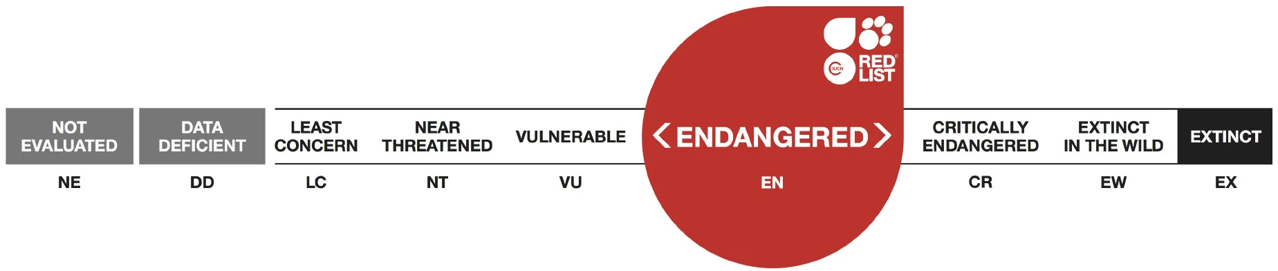 UCN Endangered.jpg