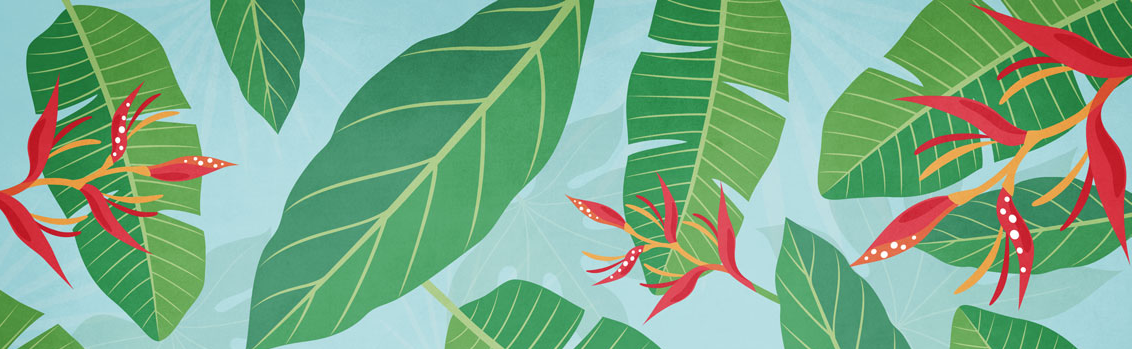 BACKGROUND-2.png